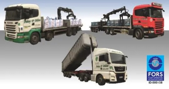 fors silver